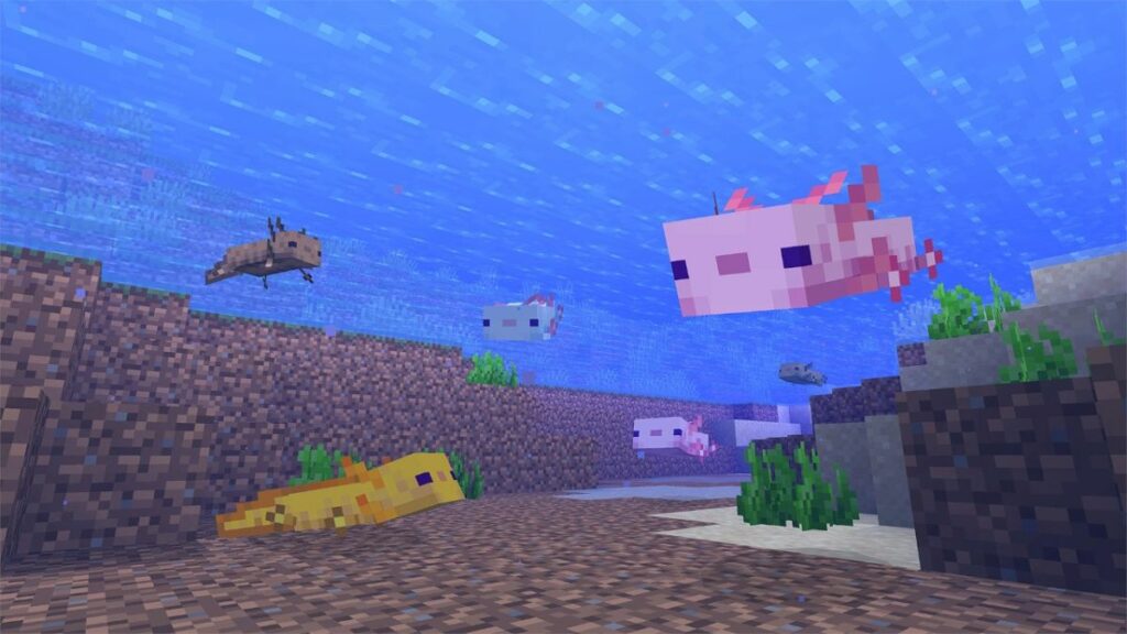 Minecraft Axolotl