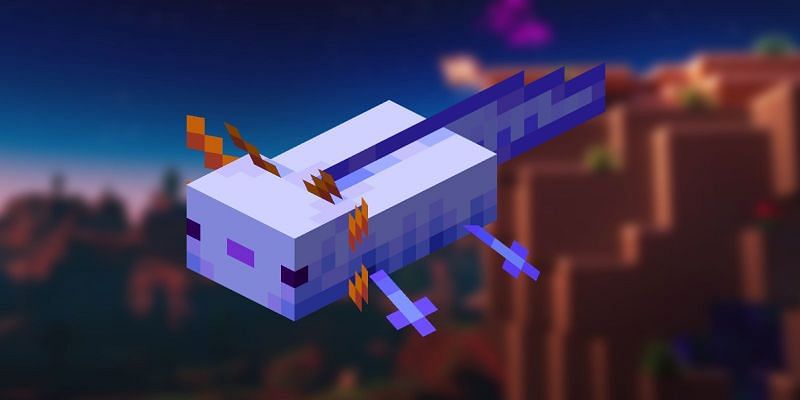 Minecraft Axolotl