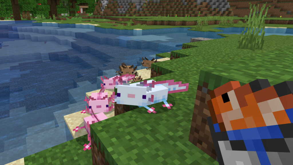 Minecraft Axolotl