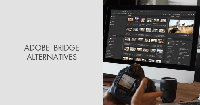 Adobe Bridge