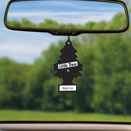 Best Multipurpose Little Trees – U6P-60155 Car Air Freshener